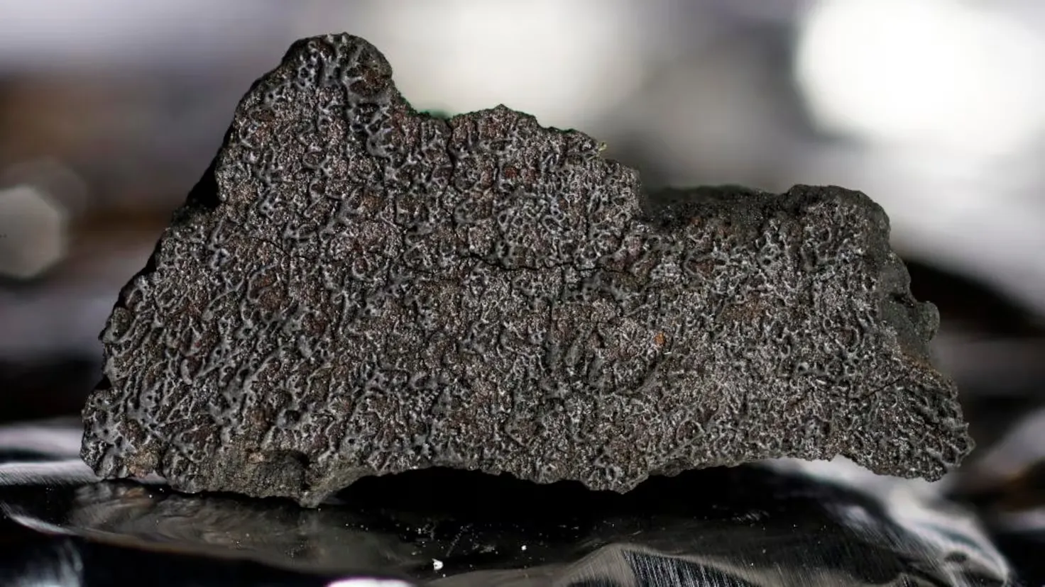 A Remarkable Martian Meteorite Discovered in the Sahara: Evidence of Water on the Red Planet