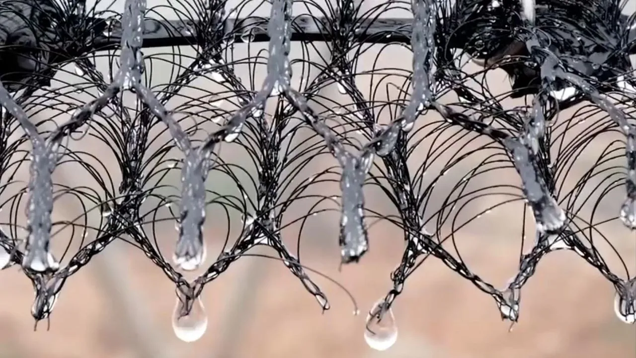 Morocco's Innovative Water Recovery from Fog Amid Drought Challenges
