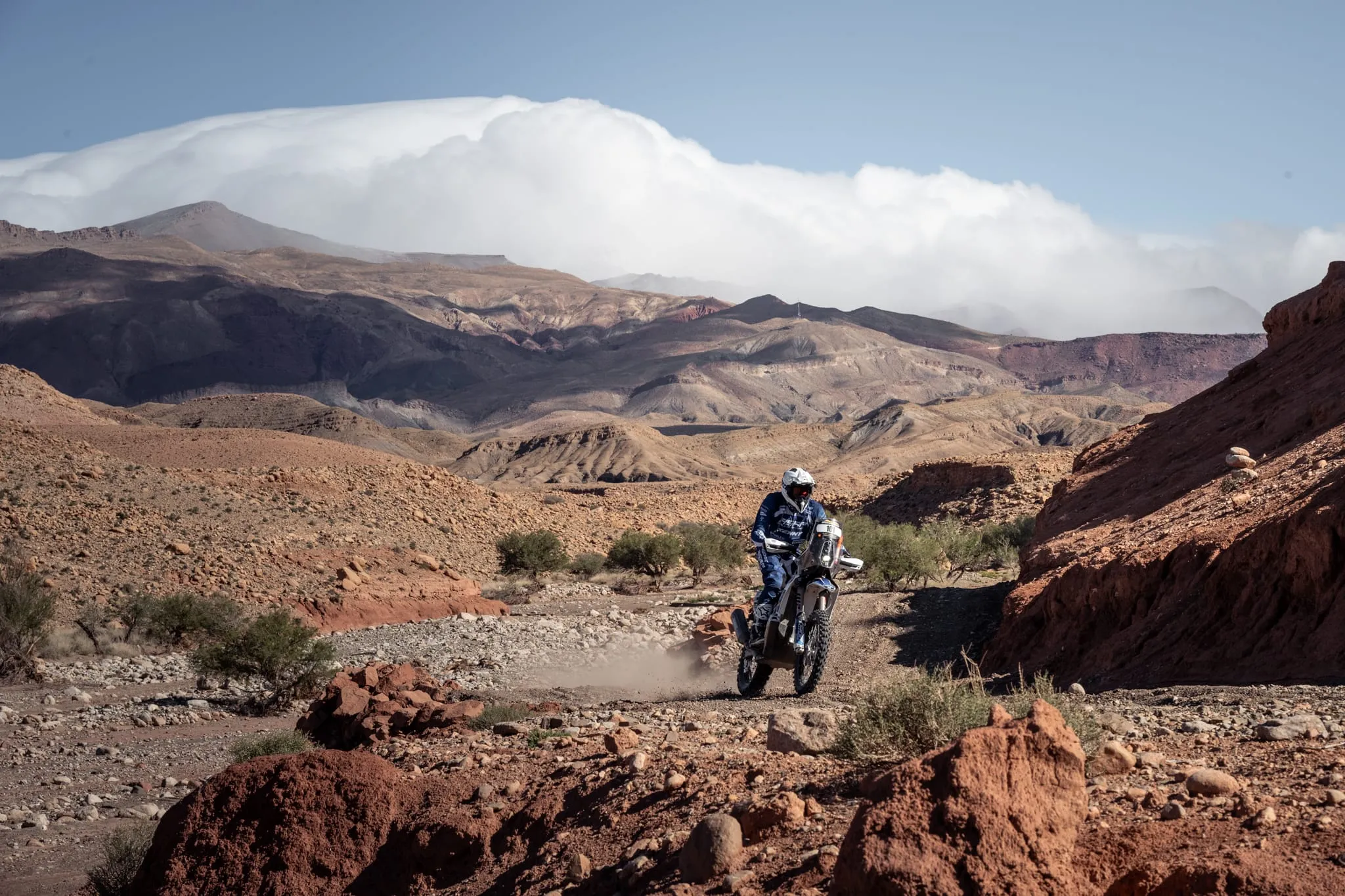 Belgian Participants Shine in Morocco Desert Challenge