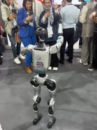 Robots Take to the Streets of Marrakech: A Glimpse into the Future of Technology