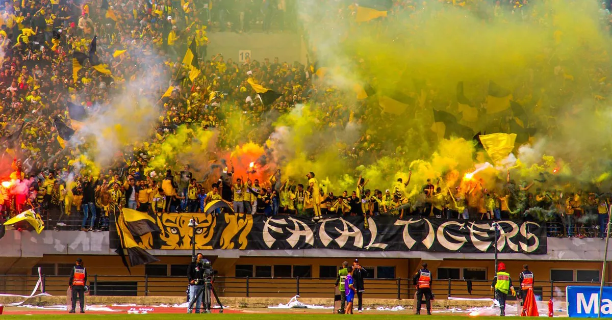 Fathal Tigers Stand Firm Against Restrictions on Tifo Ahead of Wydad Match