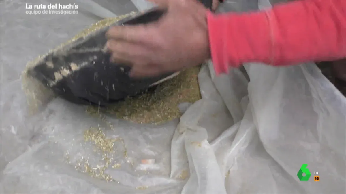 Unveiling the Hidden World of Hashish Production in Morocco
