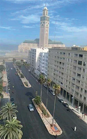 Casablanca: Embracing the Call of the Deep Blue Sea