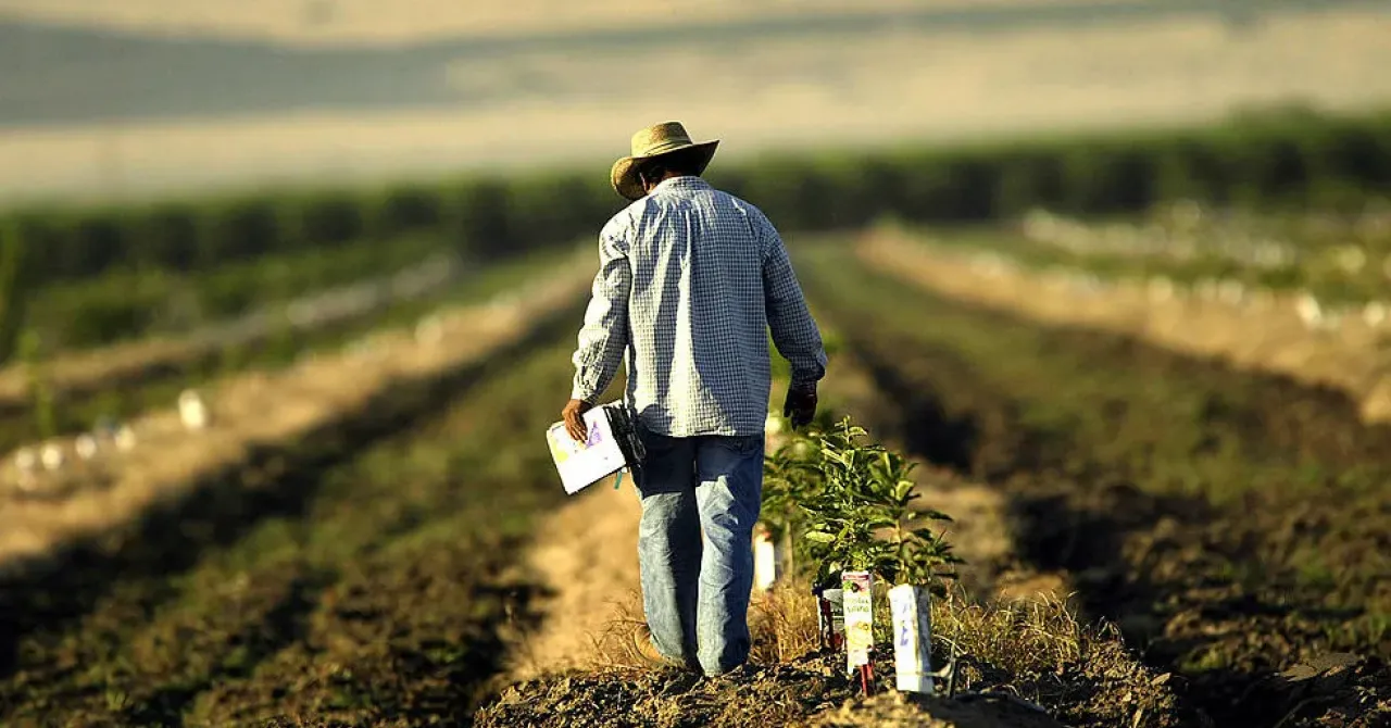 Washington Places Morocco at the Forefront of Major Agricultural Program to Boost Production and Food Security