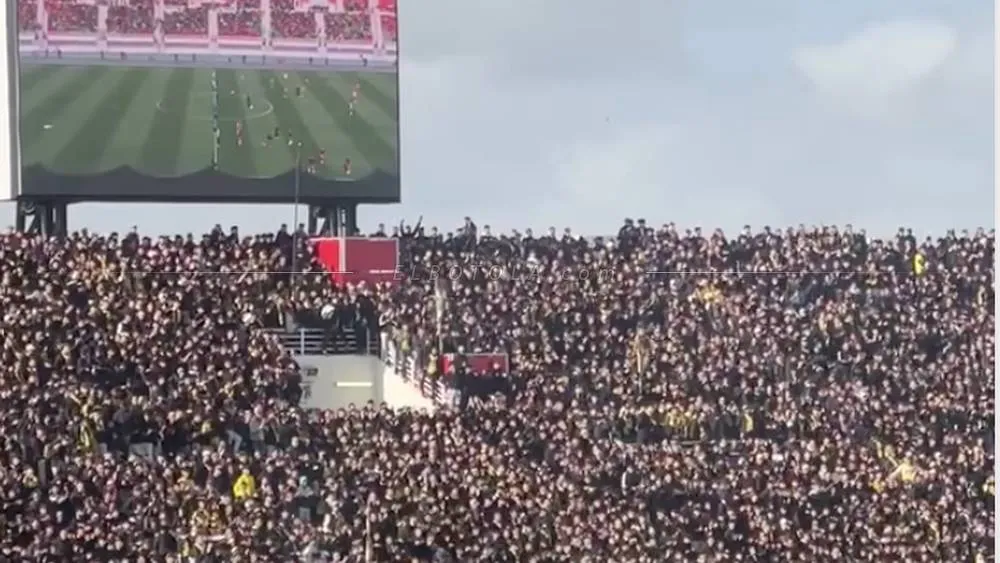 Highlights and Reactions from the Recent Matches: A Focus on Royal Army and Their Fans