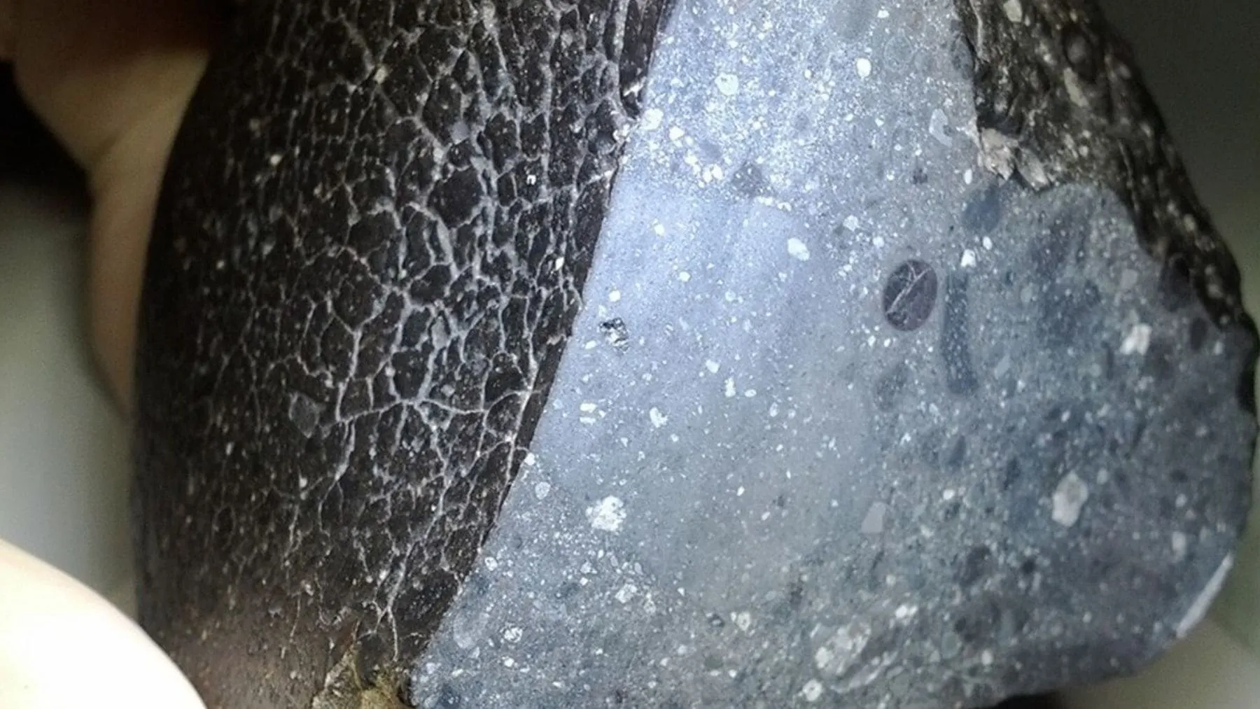 Mars Rock Discovery: A Black Stone from Morocco Holds Secrets of Ancient Water
