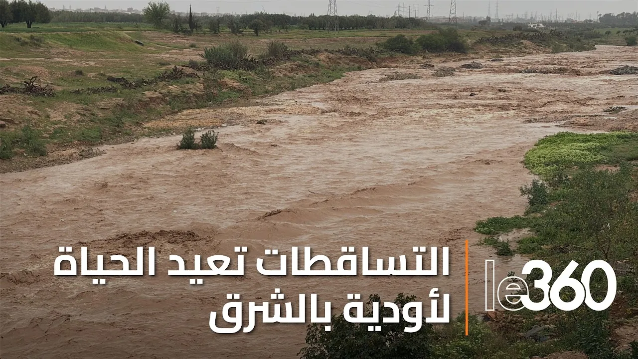 Spring Rains Revitalize Oujda's Valleys and Renew Agricultural Hopes