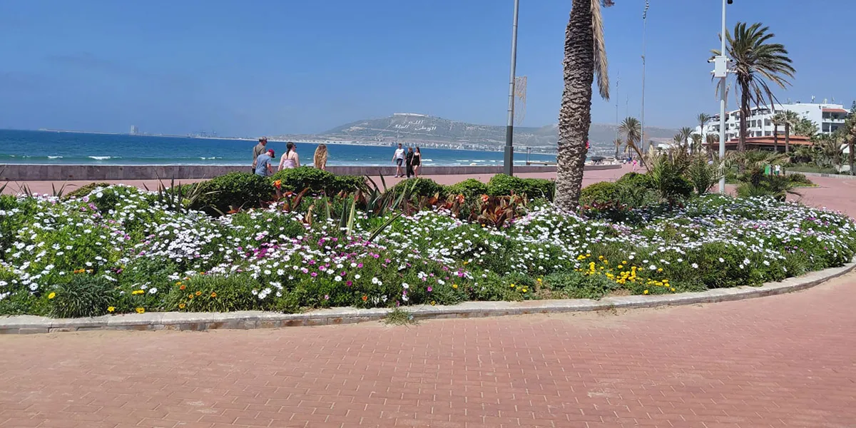 Agadir Tourism Sees Positive Growth in Q1 2026