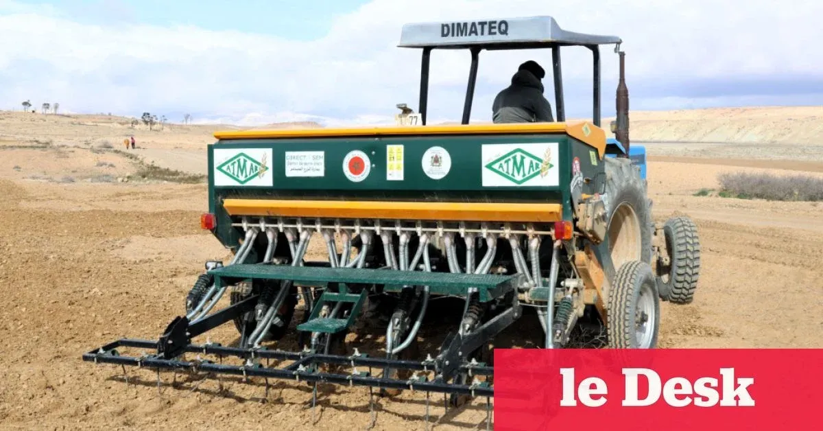Morocco Selected for USDA's Food for Progress Program in 2026