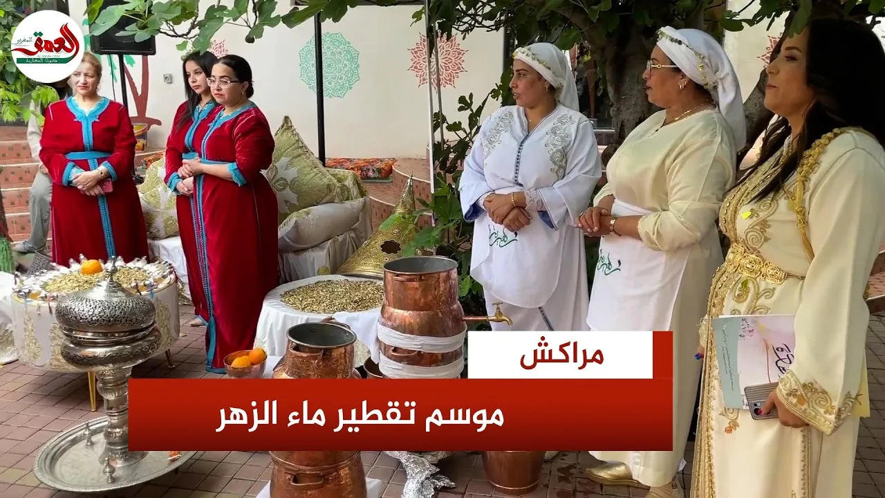 Celebrating Tradition: Women of Marrakech Embrace Distillation Rituals