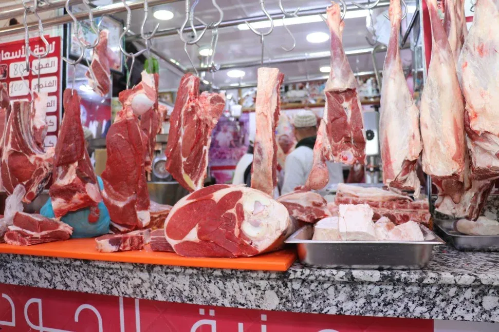 Why Red Meat Prices in Morocco Remain High Despite Rainfall and Abundant Forage