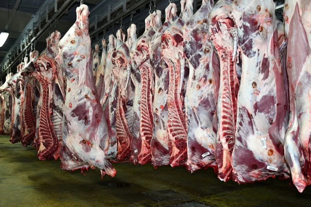 Red Meat Prices Rise in Casablanca While Tomato Prices Stabilize