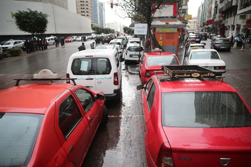 Morocco Moves Towards Unified Electronic Licenses for Taxi Drivers