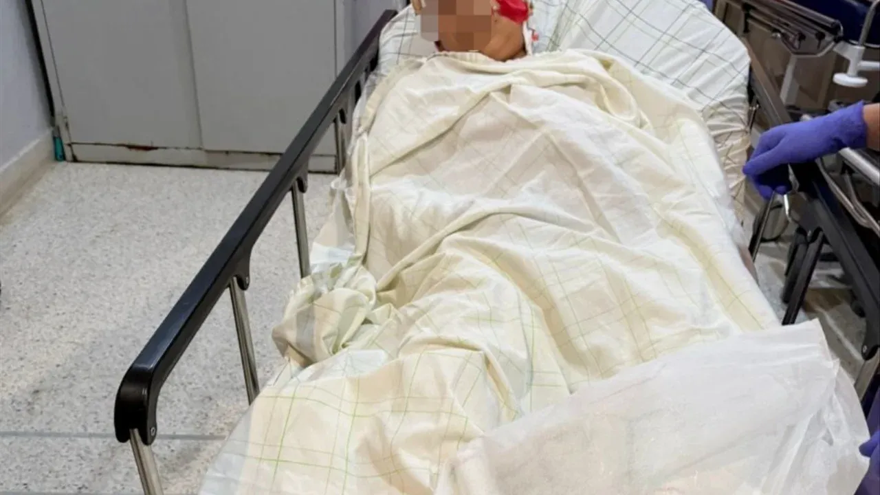 Tragic Attack: Young Boy Seriously Injured by Stray Dogs in Marrakech