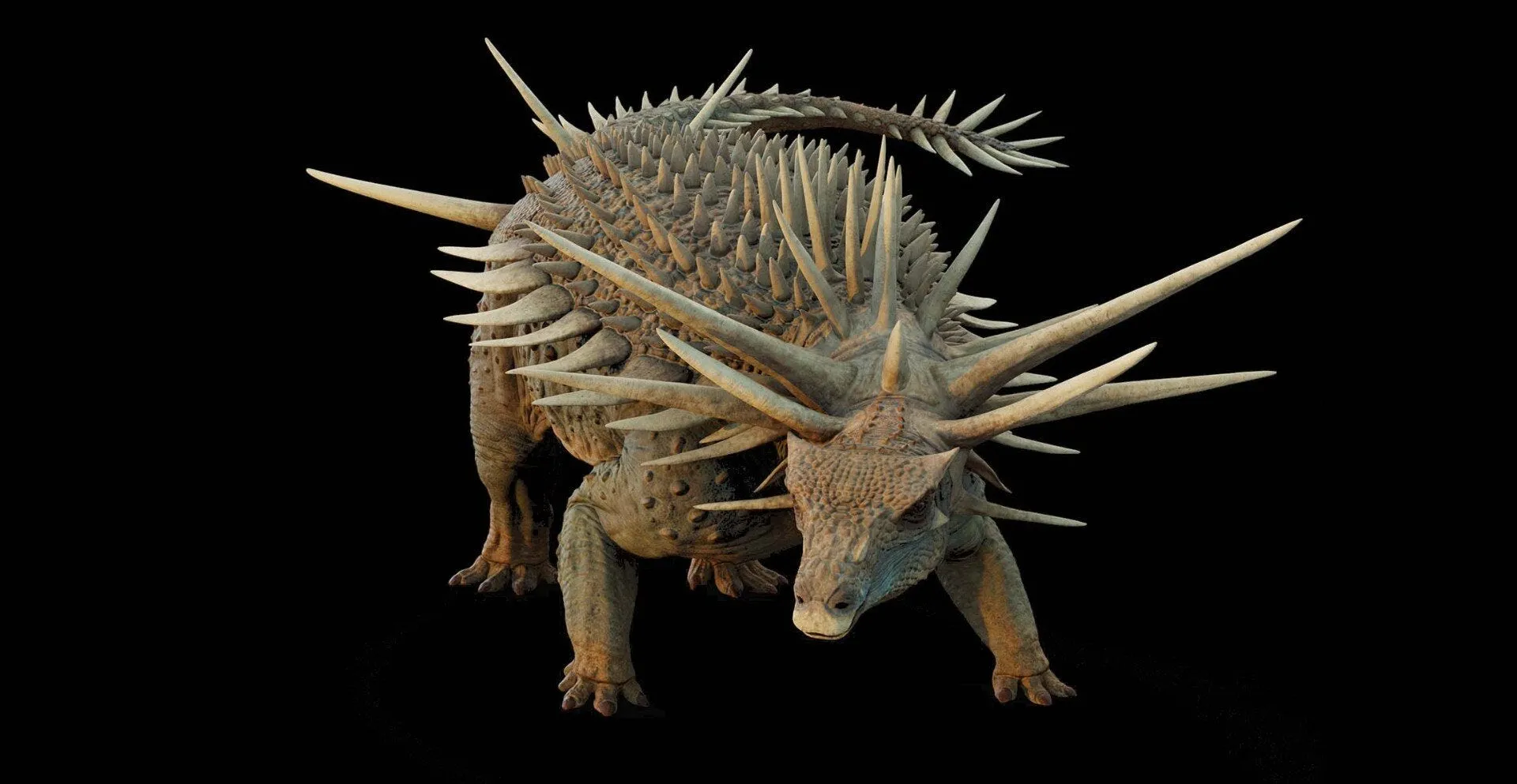 Groundbreaking Discovery of Ancient Ankylosaur Fossils in Morocco