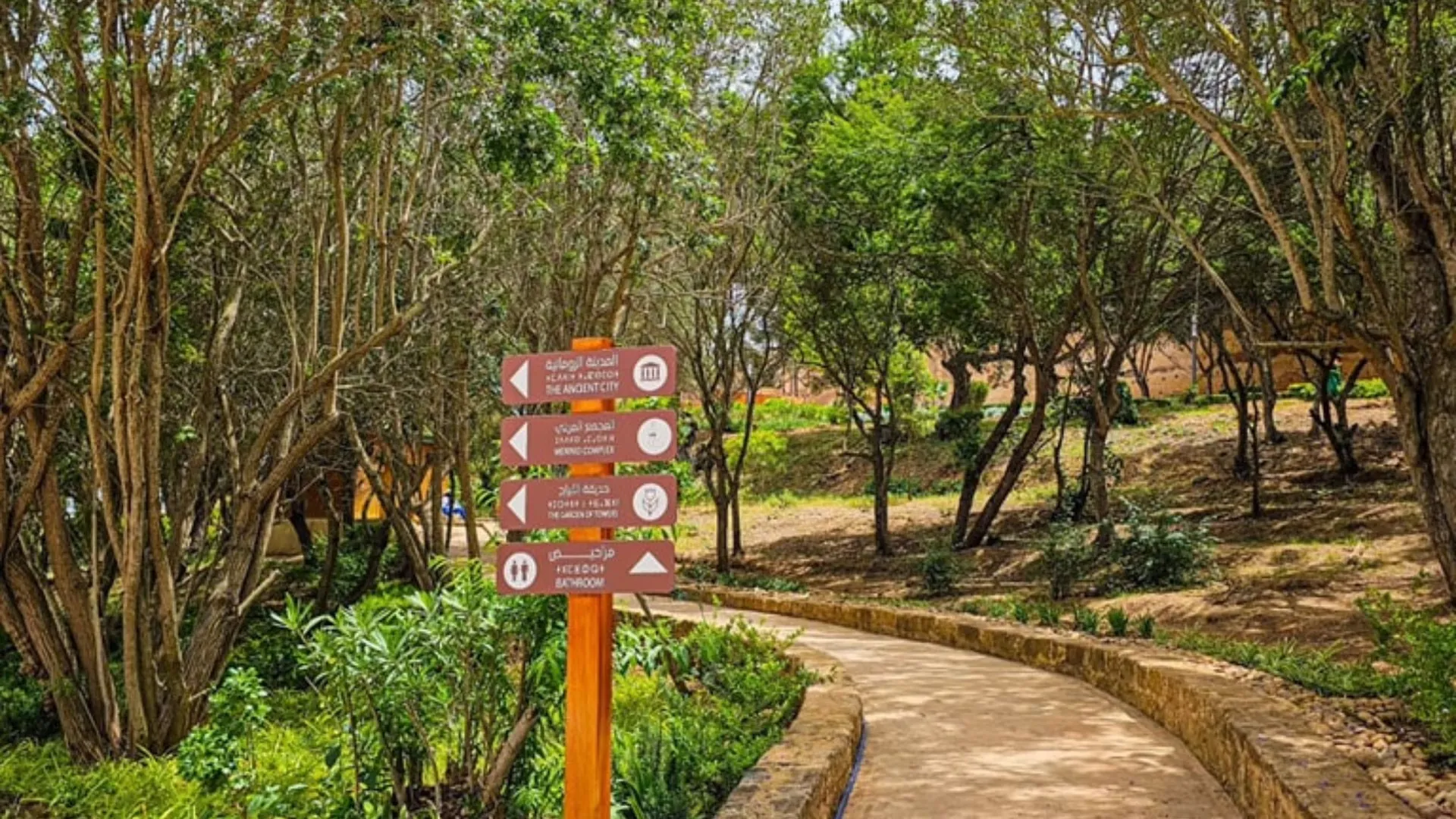 Safi Unveils Urban Forest Development Project for 14 Million Dirhams