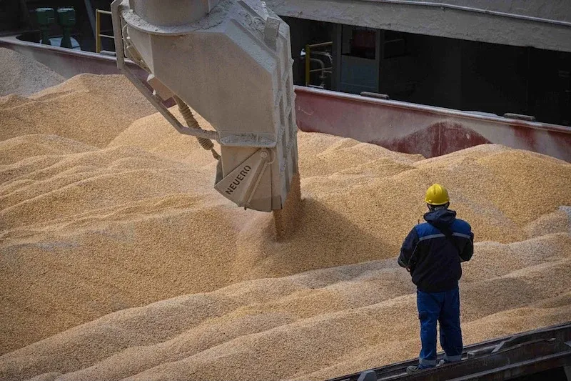 Morocco's Pursuit of Food Sovereignty: A Challenge of Available Options