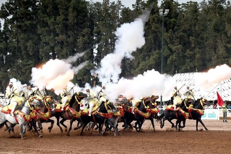 18 Traditional Equestrian Teams from Fes-Meknes Qualify for National Championship After Tissa Trials