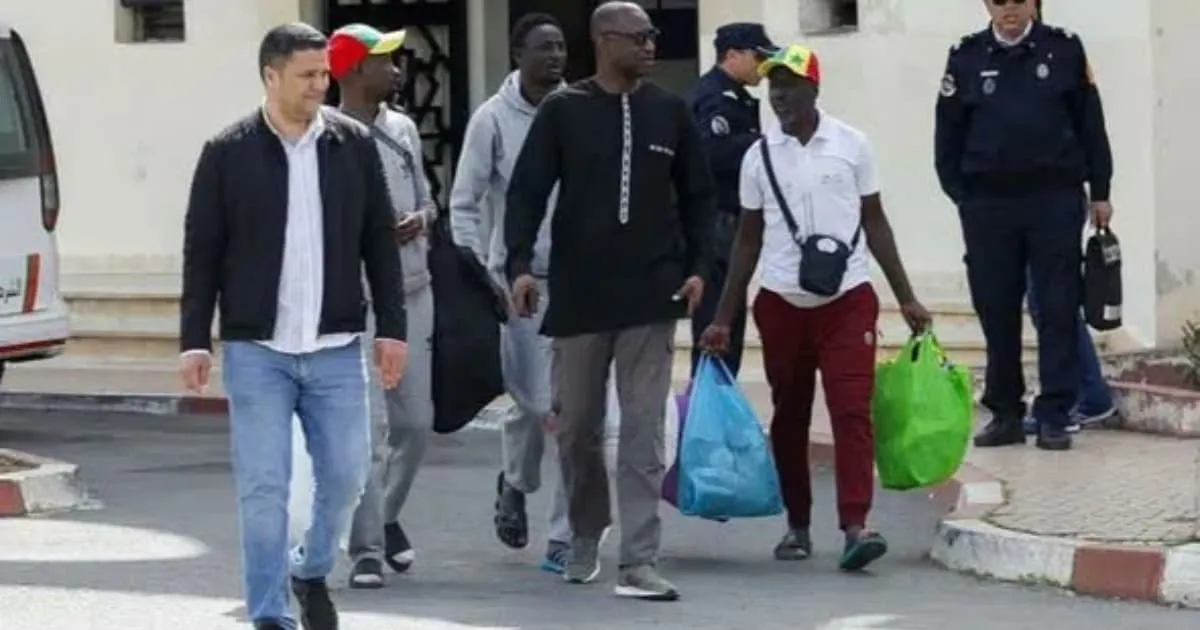Release of Senegalese Football Fans Marks a Turning Point Amid AFCON Controversy