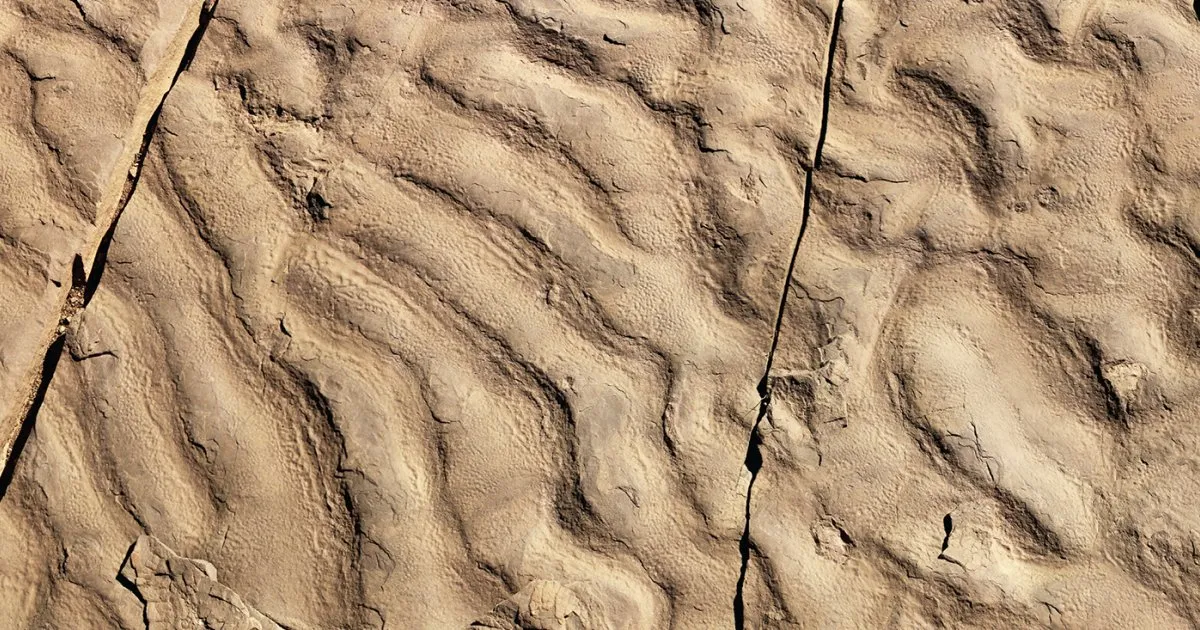 Unveiling Ancient Secrets: Unique Wrinkles in Moroccan Geological Formation