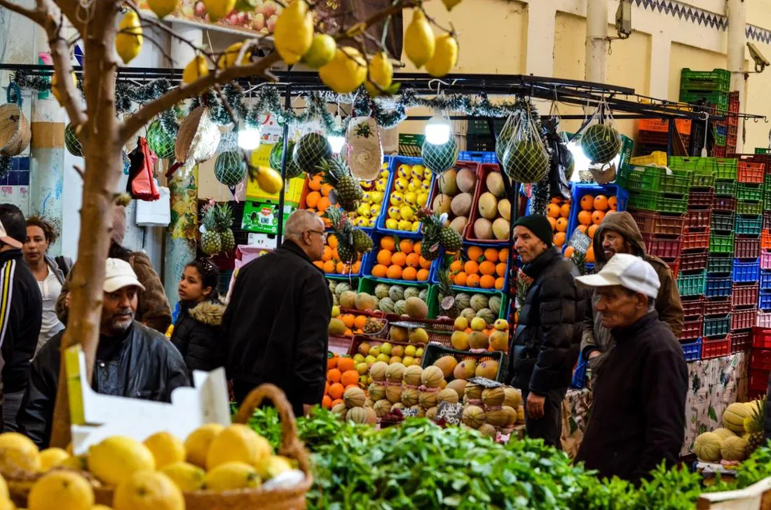 North Africa Faces Food Crisis Amid Global Turmoil: The Urgent Need for Agricultural Reform