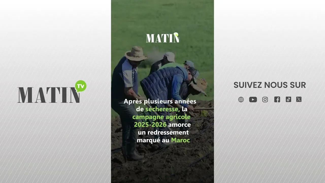 The Resurgence of Agriculture in Morocco: A Promising Outlook for the 2025-2026 Season