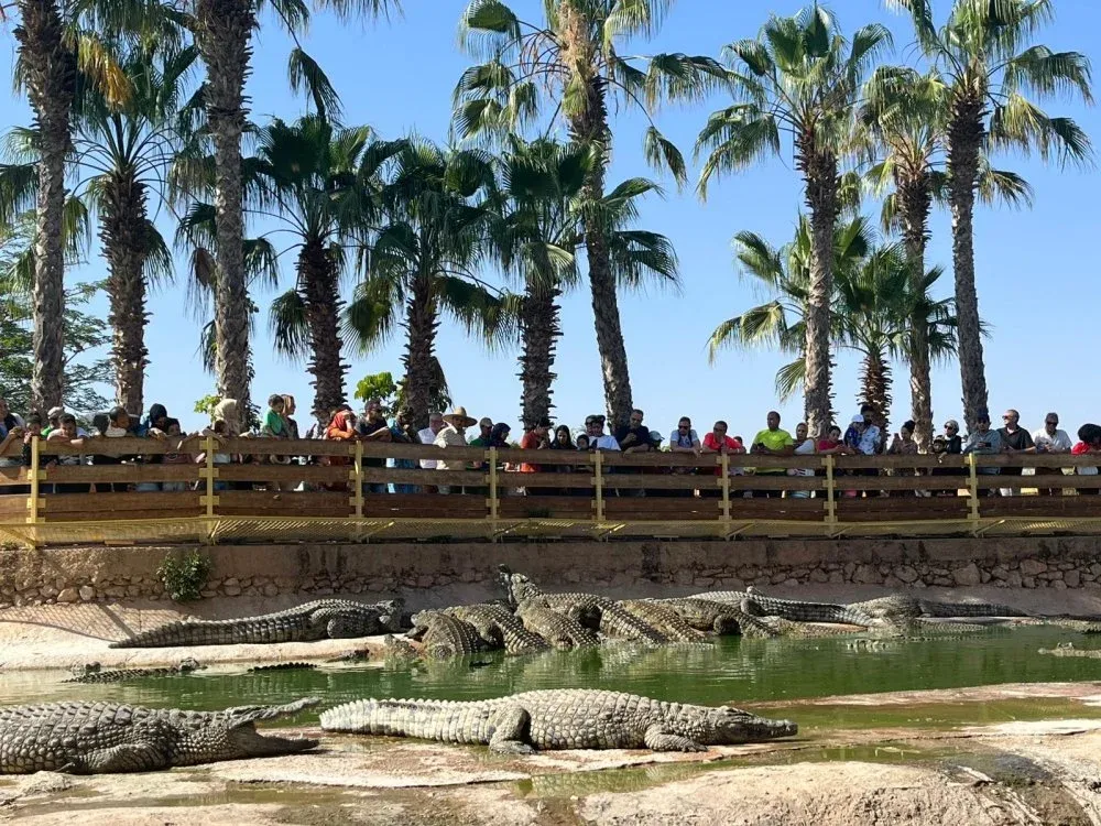 Crocoparc in Agadir to Host World Congress of Crocodile Specialists