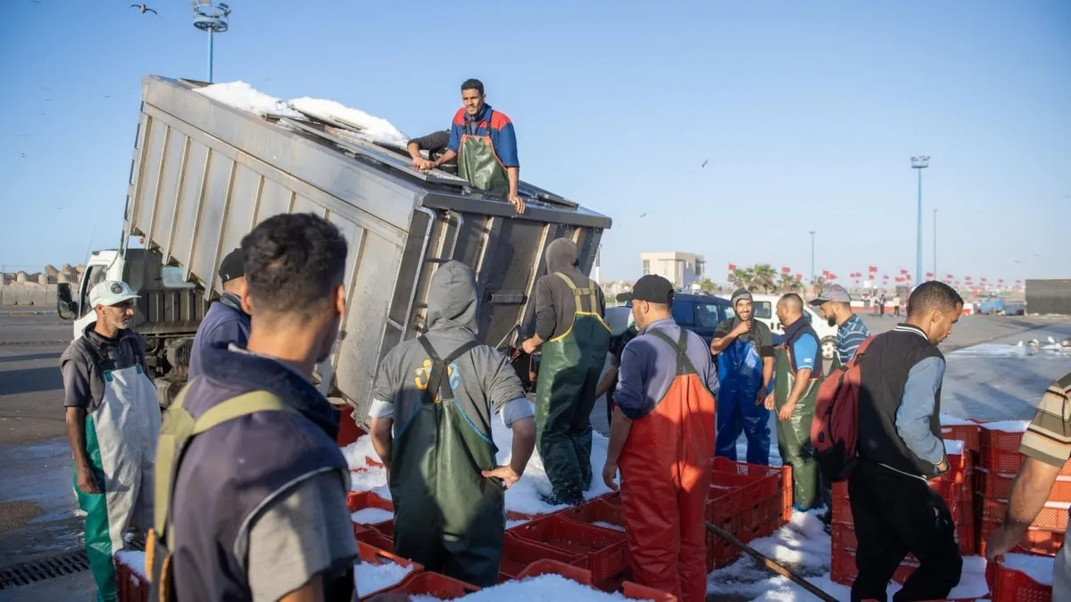 Morocco's Controversial Claims at Seafood Expo Global: A Challenge to International Law