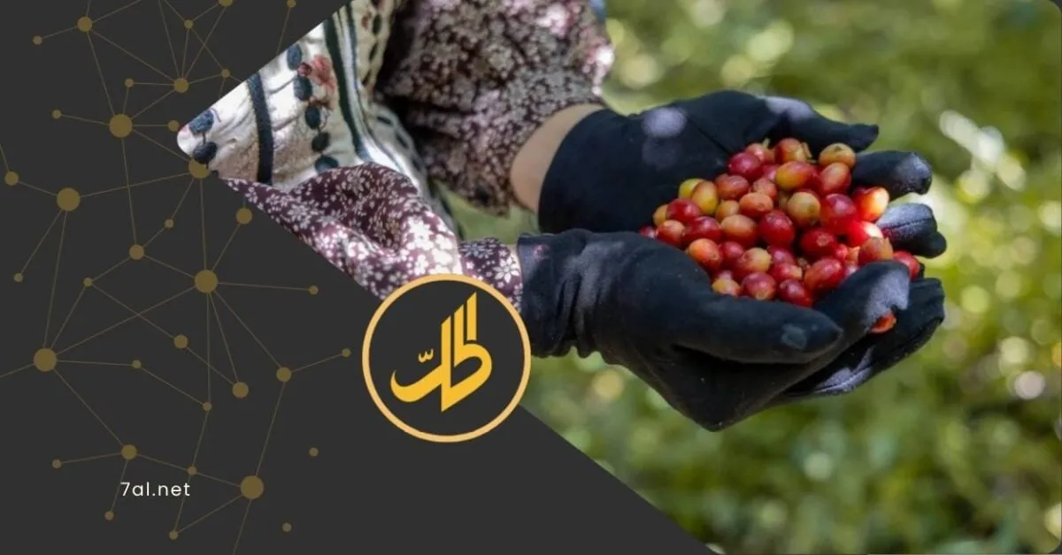 The Agricultural Crisis in Yemen: A Looming Threat of Extinction for Farmers by 2026