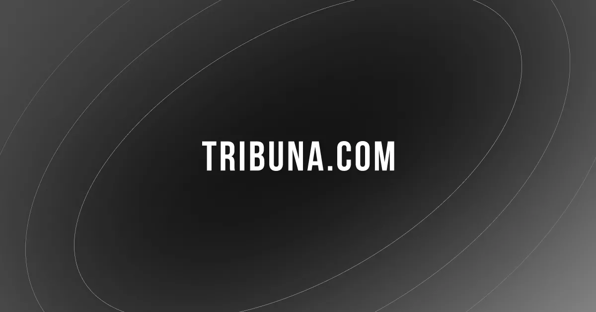 Comprehensive Player Statistics and Performance Data for Yacoub El Mansour