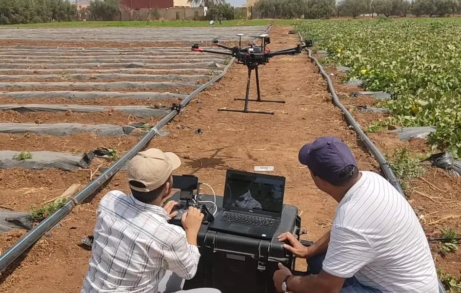 Morocco Enhances Agricultural Data Protection Amid Rapid Digital Transformation