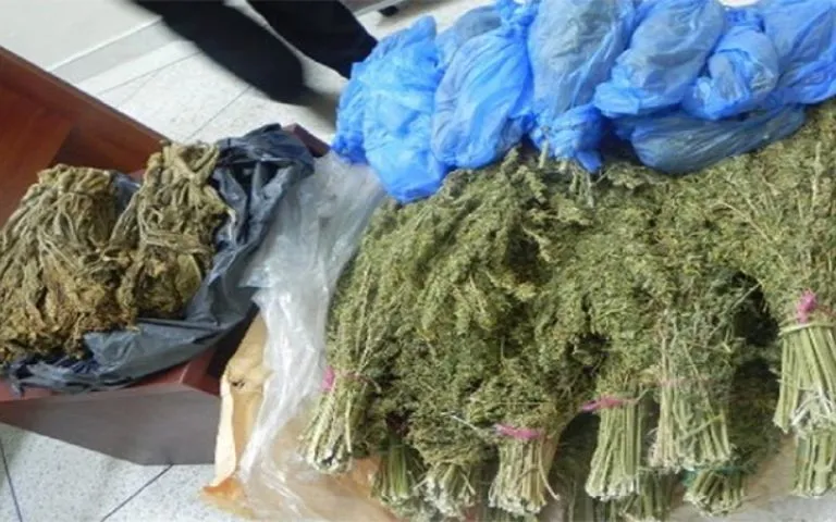 Joint Security Operation Thwarts Over 700 Kilograms of Drugs in Taroudant