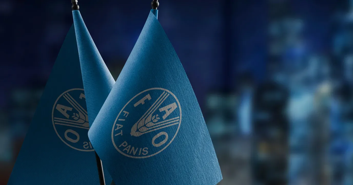 FAO Highlights Morocco as a Leading Model in Agricultural System Transformation and South-South Cooperation