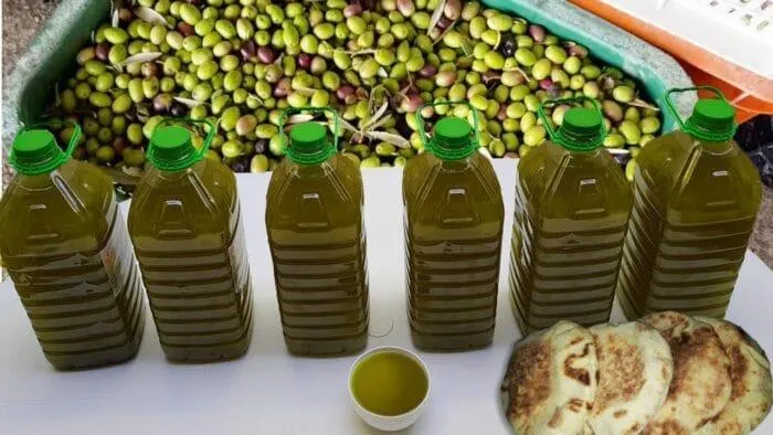 Celebrating Excellence: 12 Olive Oil Varieties Awarded in Meknes