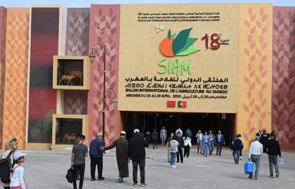 Morocco Recognized as a Model for Agri-Food Transformation by FAO