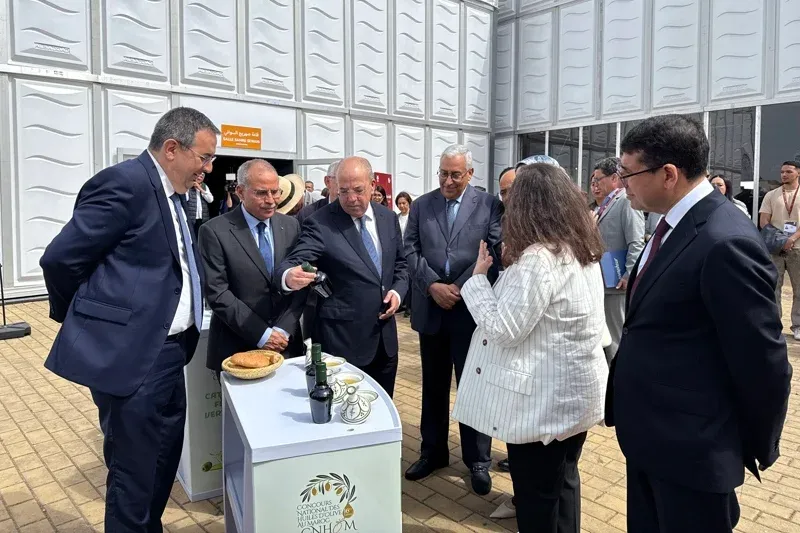 Celebrating Excellence: The 16th National Olive Oil Competition in Meknes