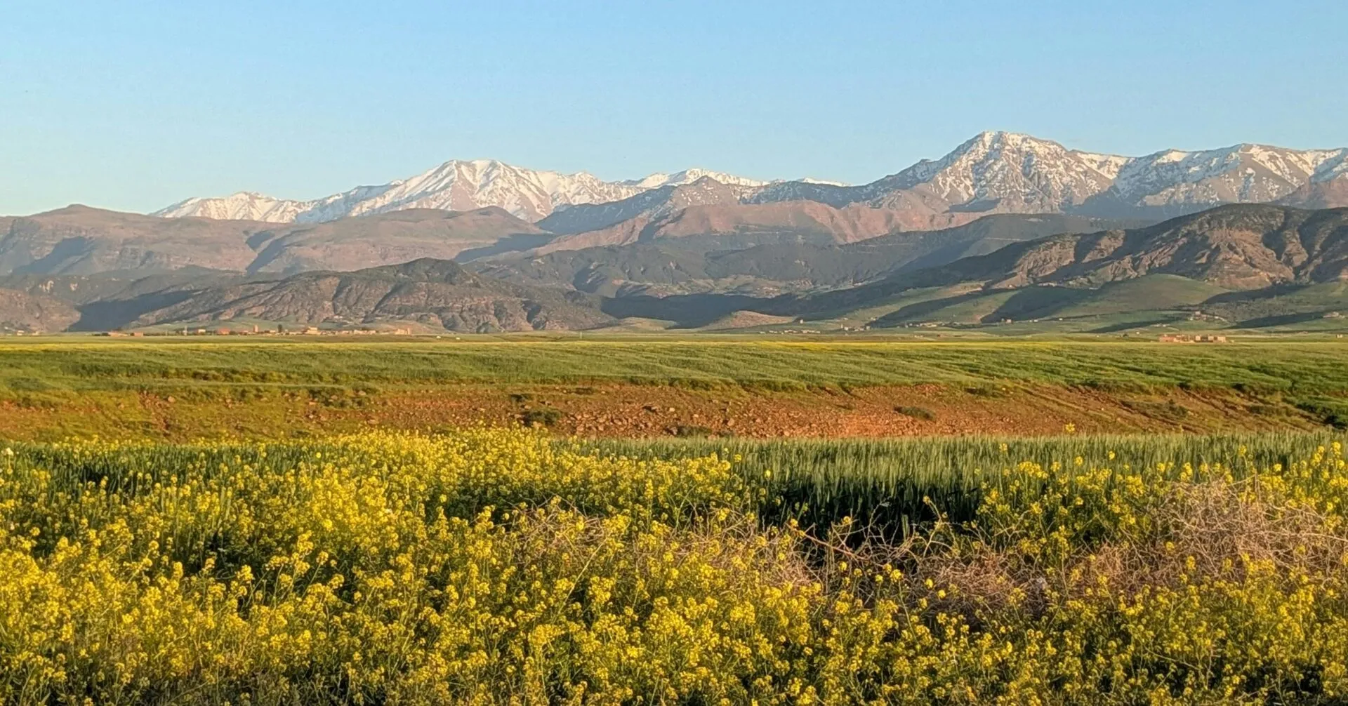 Vicky Tu's Inspiring Climb for a Cause: Summiting Mount Toubkal for Animal Welfare