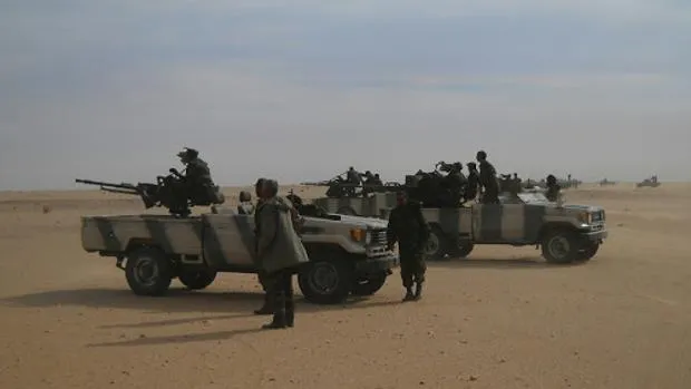 Strengthening Military Ties: Morocco and the U.S. Collaborate in African Lion 26