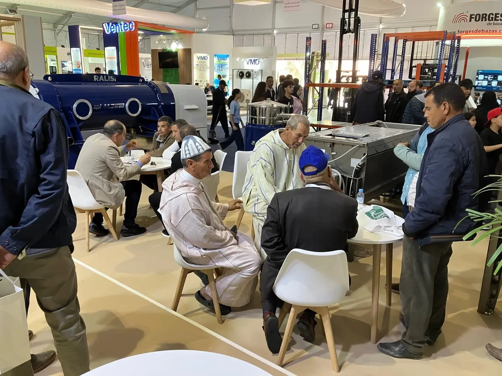 Morocco's Olive Oil Sector Poised for a Flourishing Comeback