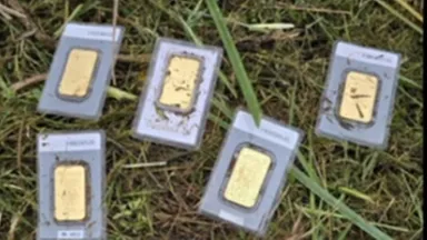 Gold Bars Discovered During Lawn Mowing Benefit Local Community in Bannewitz