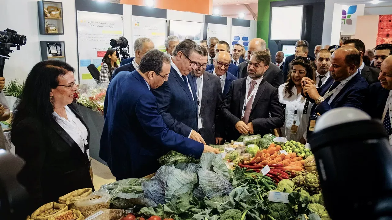 Understanding Food Sovereignty: Why Morocco Struggles with Self-Sufficiency