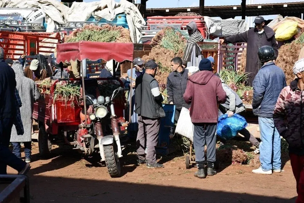 Onion Prices Surge in Casablanca Wholesale Market Amid Continued Rise in Red Meat Costs