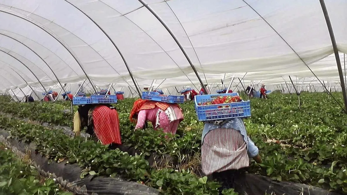 Morocco's Evolving Role as a Destination for Migrant Workers