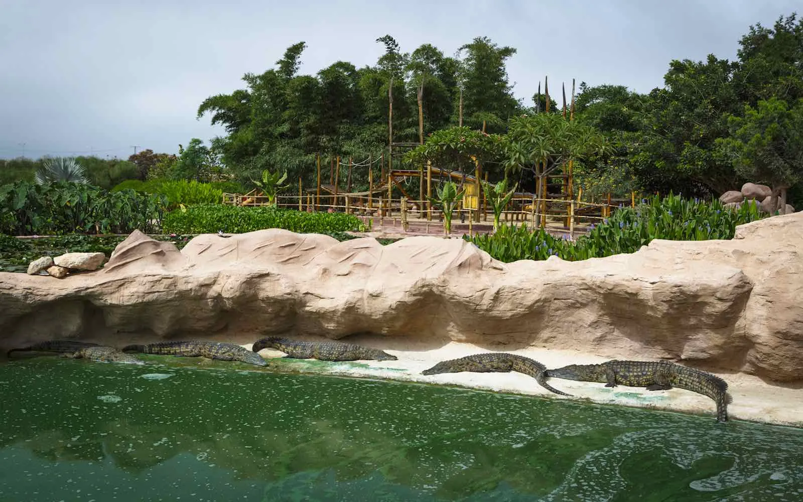 Agadir to Host the 28th World Congress of the Crocodile Specialist Group in 2026