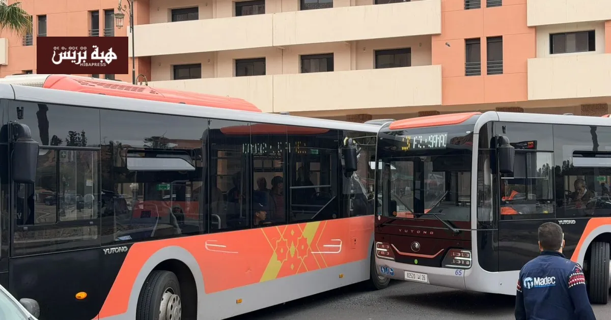 Traffic Collision in Marrakech: A Call for Improved Urban Transportation Safety