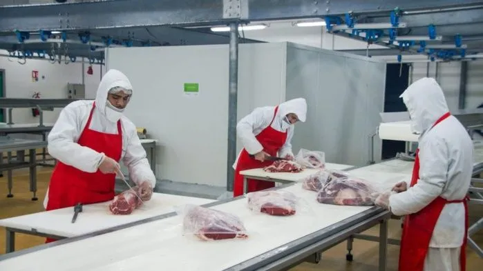 Casablanca Prepares for Aïd Al Adha 2026 with Enhanced Slaughterhouse Services