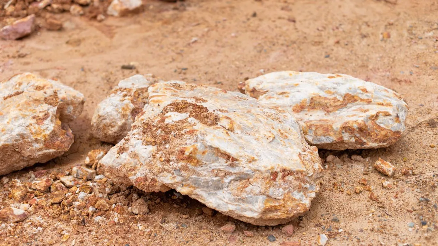Talisman Metals Unveils Promising Results from Fougnar Project Sediment Sampling