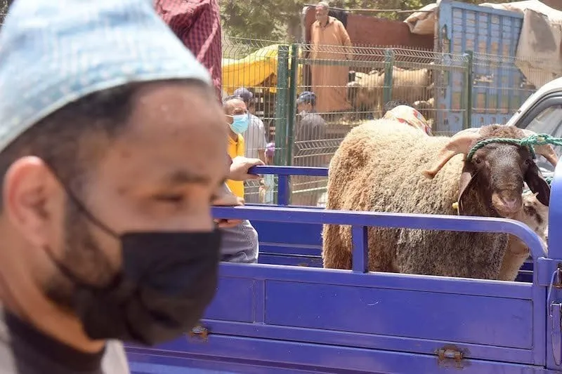 Moroccan Labor Union Advocates for Holiday Revisions During Eid Celebrations