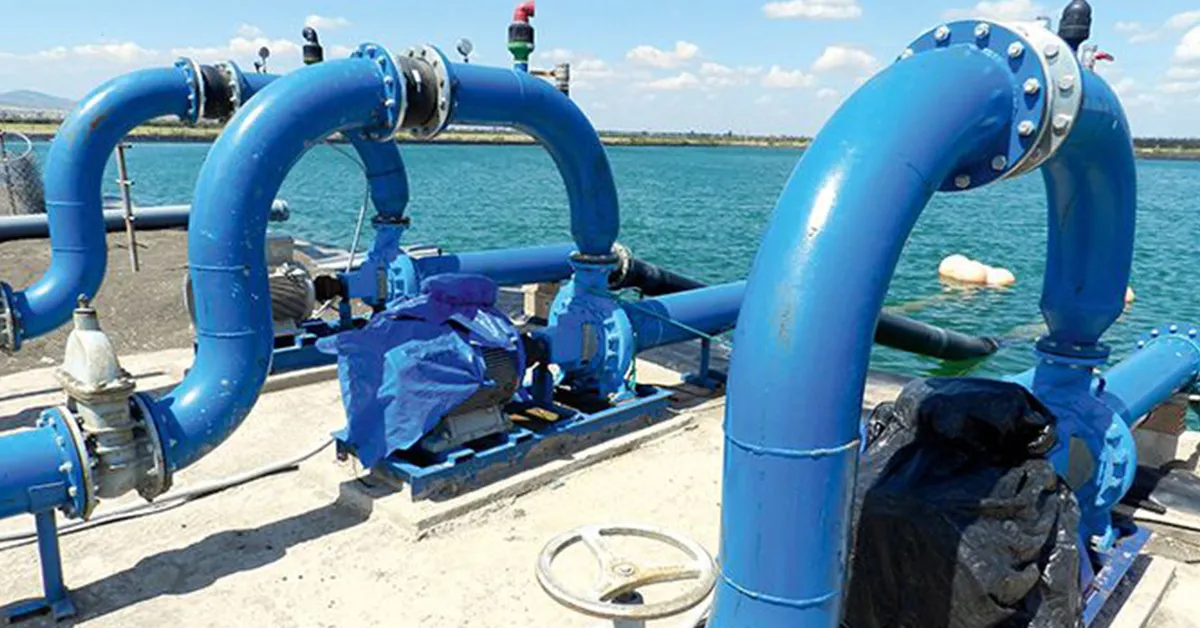 Morocco as a Global Reference in Transforming Fog into Drinkable Water