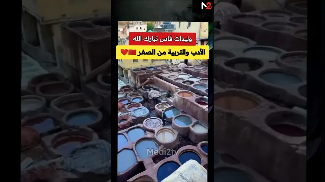 Exploring the Enchanting Legacy of Fez and Its Bright Young Minds